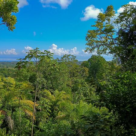 Corcovado Private Villas - Corcovado Private Reserve Puerto Jiménez 外观 照片