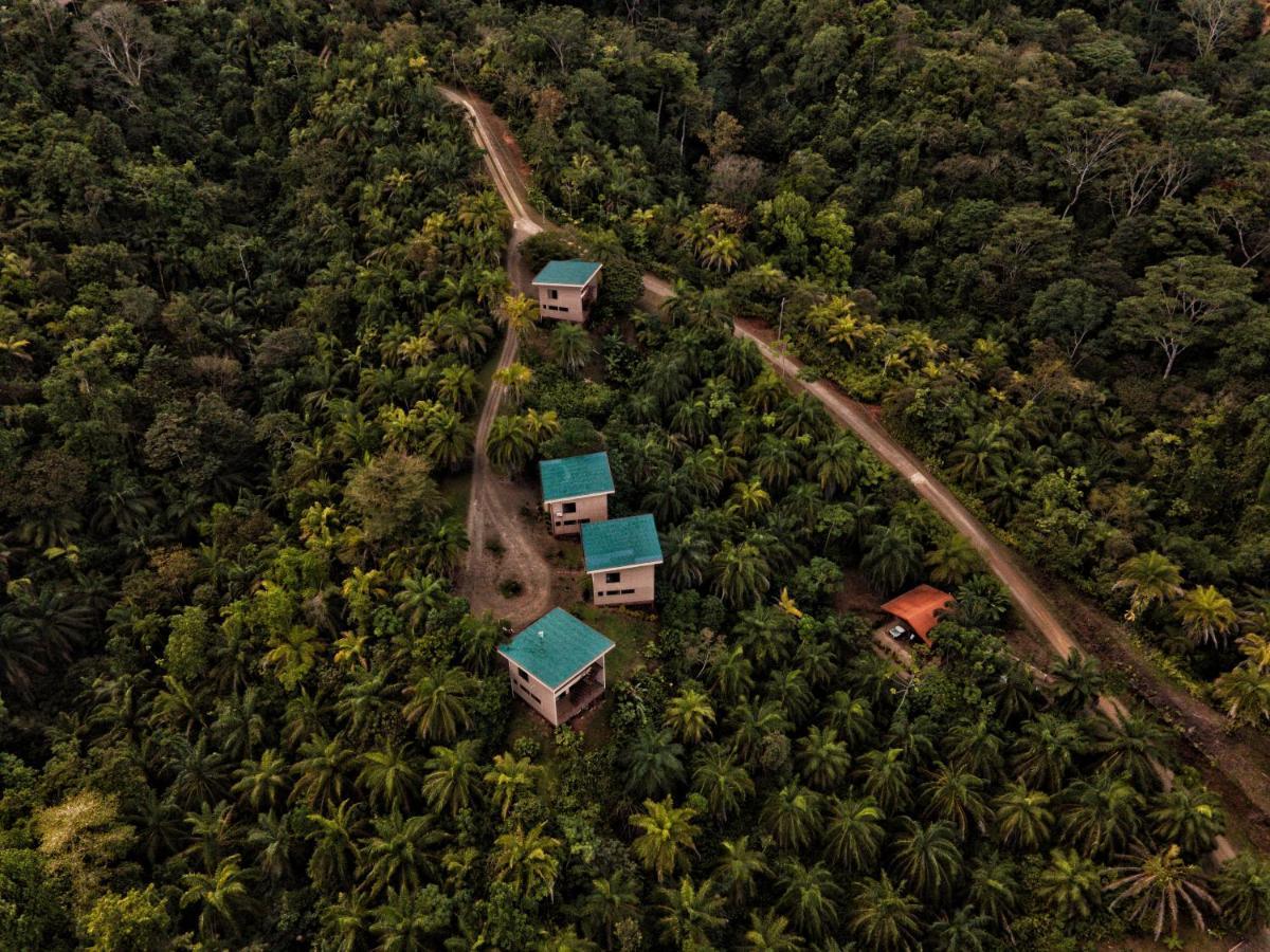 Corcovado Private Villas - Corcovado Private Reserve Puerto Jiménez 外观 照片