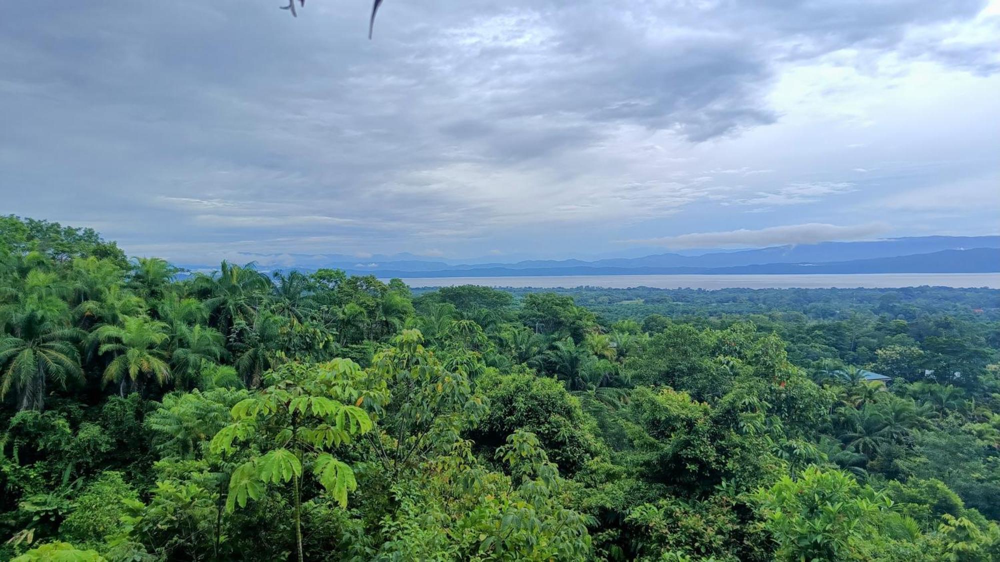 Corcovado Private Villas - Corcovado Private Reserve Puerto Jiménez 外观 照片