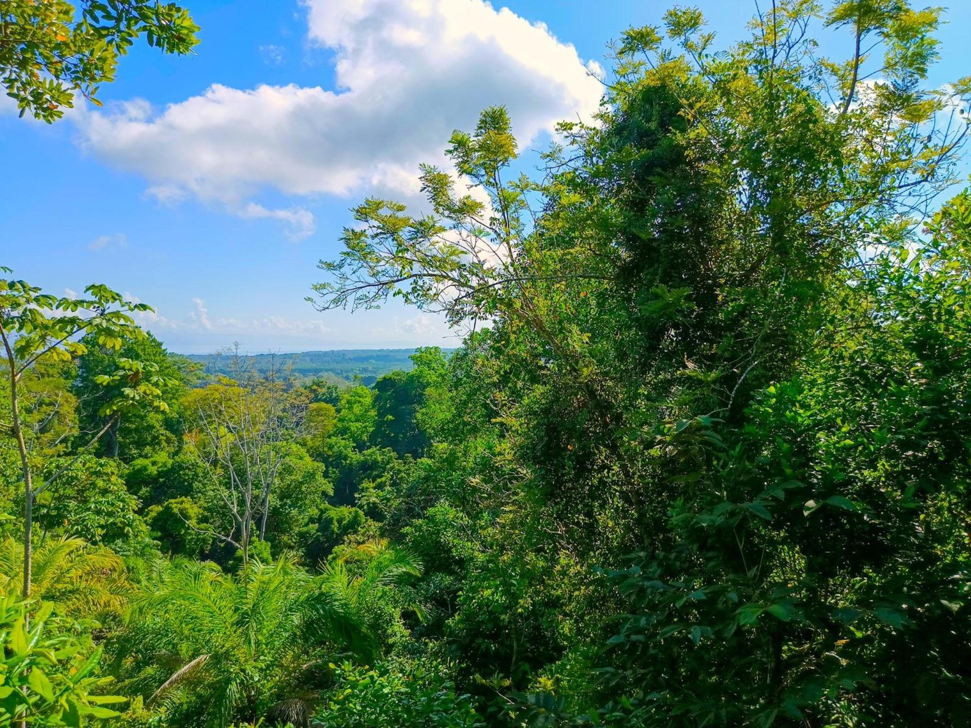 Corcovado Private Villas - Corcovado Private Reserve Puerto Jiménez 外观 照片