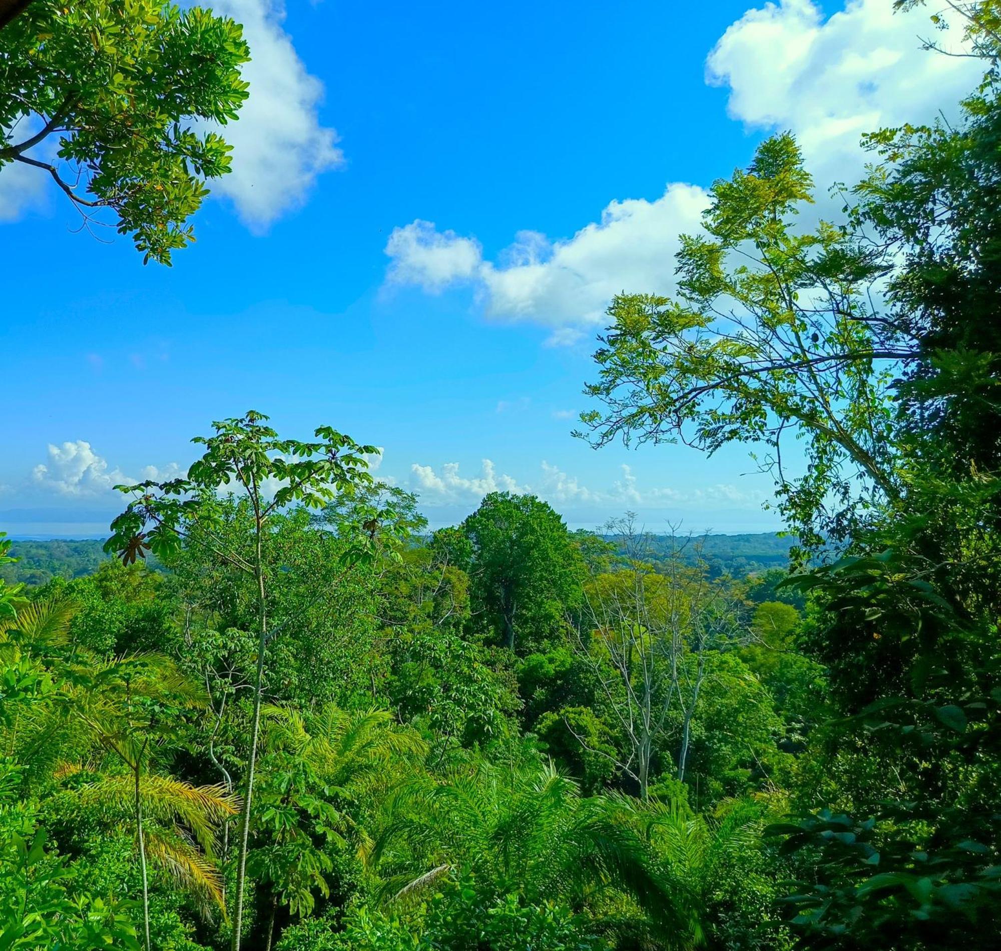 Corcovado Private Villas - Corcovado Private Reserve Puerto Jiménez 外观 照片