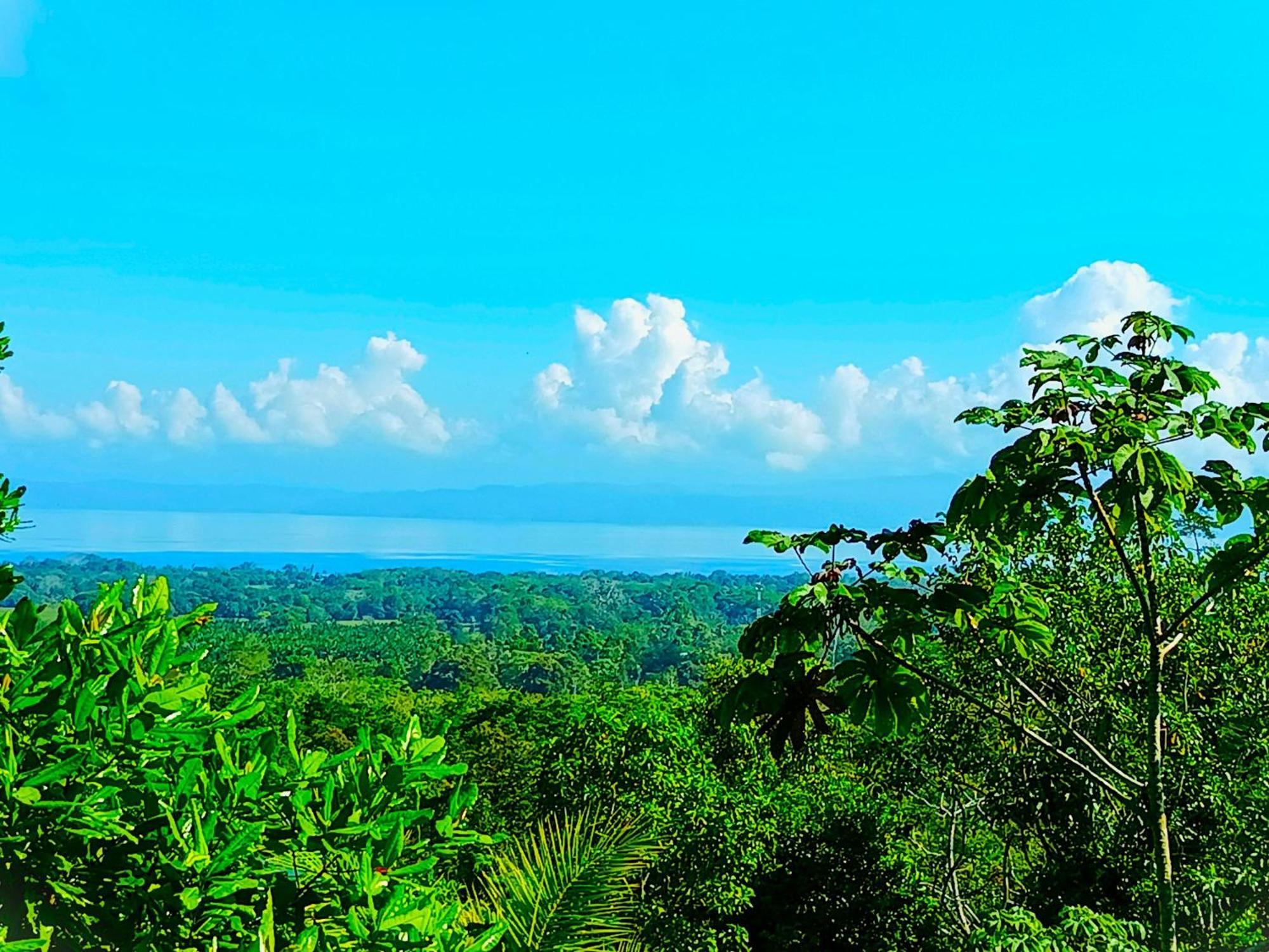 Corcovado Private Villas - Corcovado Private Reserve Puerto Jiménez 外观 照片
